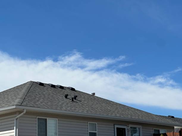 Best Asphalt Shingle Roofing  in New Hope, OR